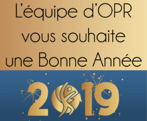 bonne année 2019 en bretagne et en normandie par nos prothésistes situés dans les cabinets OPR près du calvados et des côtes d'armor